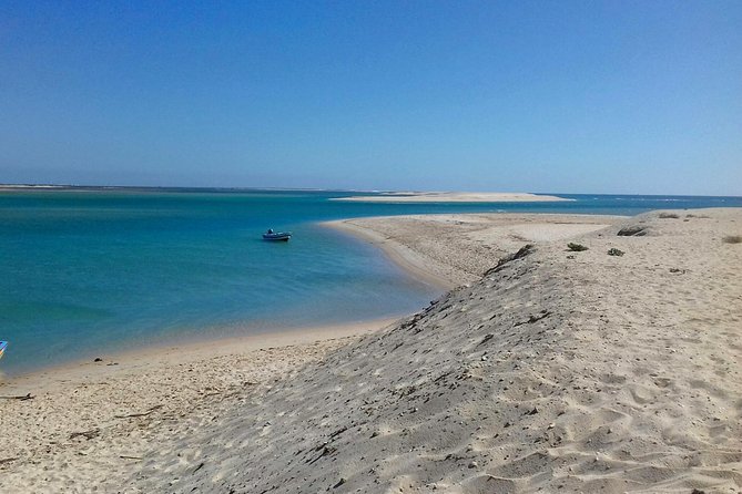 2-hour Bird Watching Guided Boat Trip in Ria Formosa from Faro Algarve - Why the tide can change your sightings