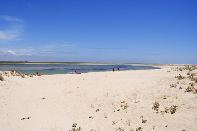 2-hour Bird Watching Guided Boat Trip in Ria Formosa from Faro Algarve - The return past Faro’s old town