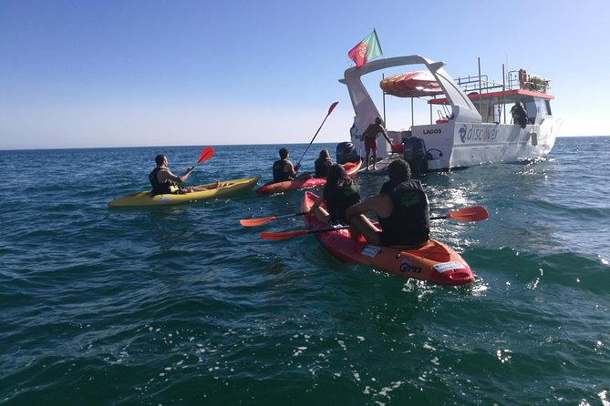 2-hour Kayak Tour of Ponta da Piedade Caves and Beaches - Getting ready for a first kayak trip