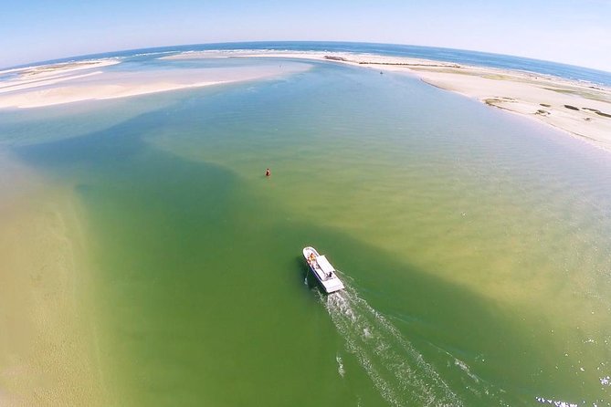 2 Hours Boat Tour in Ria Formosa - What the 18-person boat means