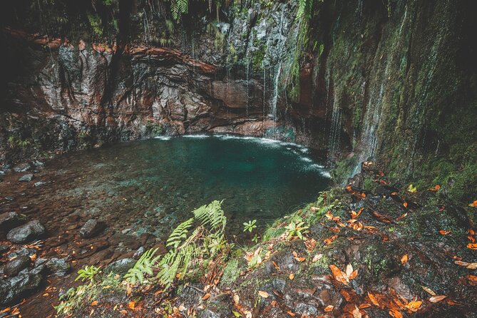 25 Fountains Levada: Hiking Tour in Madeira Rabaçal Valley (PR6) - Why the guide can change the whole day