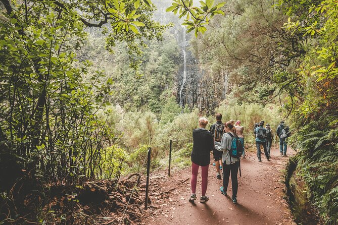 25 Fountains Levada: Hiking Tour in Madeira Rabaçal Valley (PR6) - Is $52.87 a fair price?