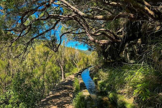 25 Fountains Levada: Hiking Tour in Madeira Rabaçal Valley (PR6) - Weather, safety, and what to pack
