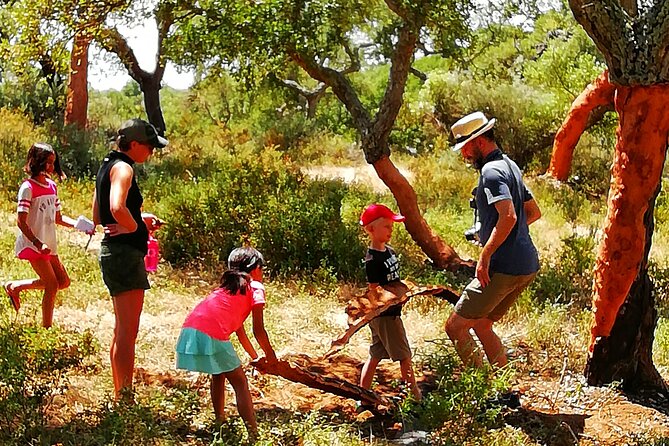 2hr Walk in a Cork Forest - What your guide adds to the walk