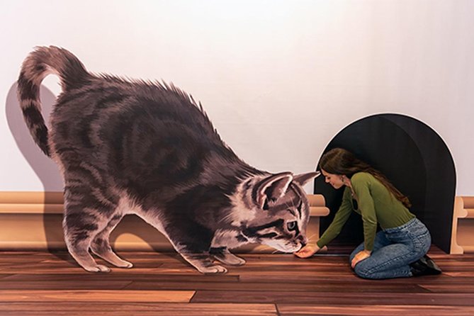 3D Fun Art Museum Funchal - Turning painted walls into funny photographs
