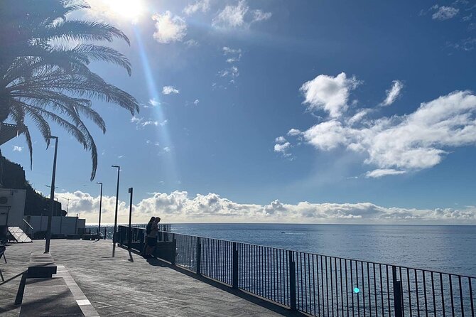4 Hours Adventure Jeep Tour in Central Madeira Portugal - Boca dos Namorados, plants, and a local drink