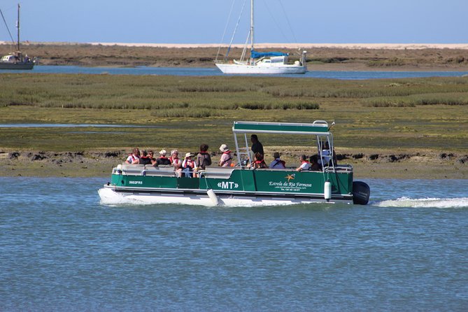 4 Stops | 3 Islands & Ria Formosa Natural Park - From Faro - Birds and Wildlife From the Catamaran