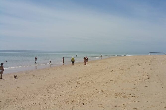 5-hour tour with 3 stops around the islands and beaches of Ria Formosa - What the Private Format Really Changes