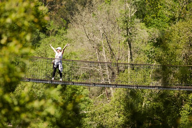 516 Arouca Bridge & Paiva Walkways Tour with Lunch from Porto - Transport, timing, and the shape of the day
