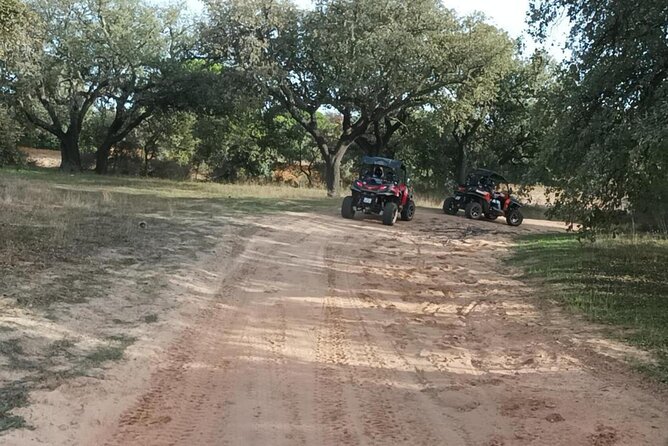 Albufeira 1.5 hour Off-Road Tour Buggy Adventure Tour - The value of $59.74 per person