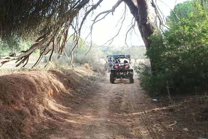 Albufeira 1.5 hour Off-Road Tour Buggy Adventure Tour - Weather can change the character of the trip