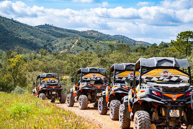Albufeira: 1.5h Off-Road Buggy Tour - Dirt & Scenic Trails - Guides, safety, and the family question