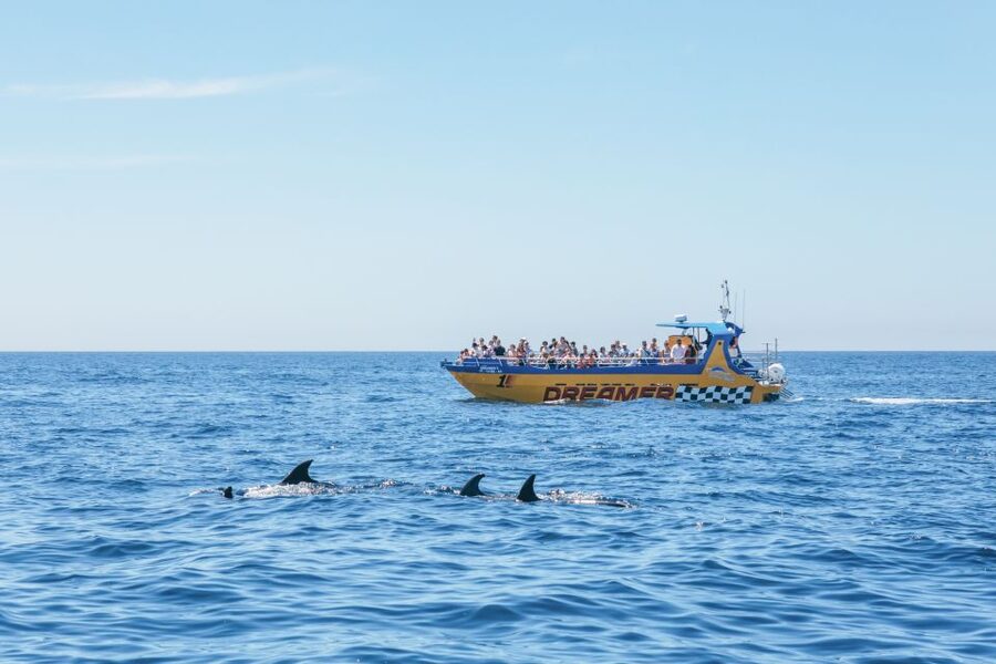 Albufeira: 2.5-Hour Benagil Caves & Dolphin Watching - Benagil Cave in a few precious minutes