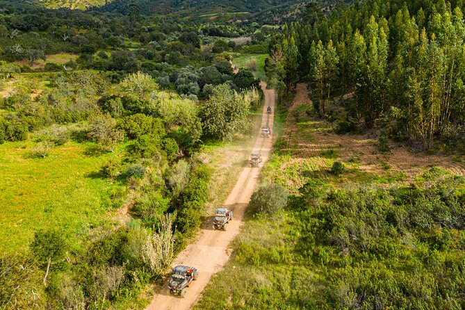 Albufeira: 3-Hour Off-Road Buggy Tour to Hidden Algarve Trails - Paderne Castle and views from the route