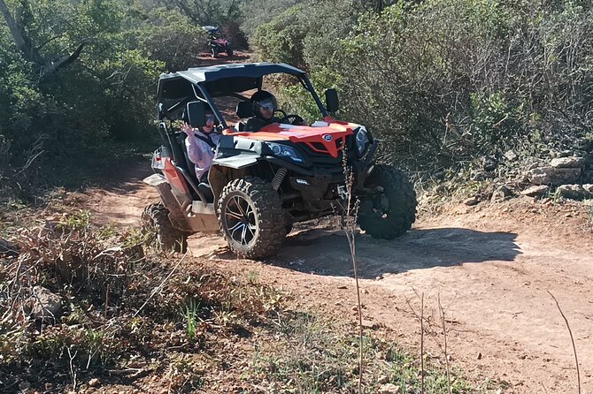Albufeira 3 hour Off-Road Tour Buggy Adventure Tour - What the off-road driving is really like