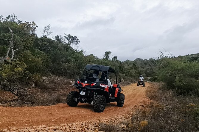 Albufeira 3 hour Off-Road Tour Buggy Adventure Tour - Coffee and a pastry in Paderne village