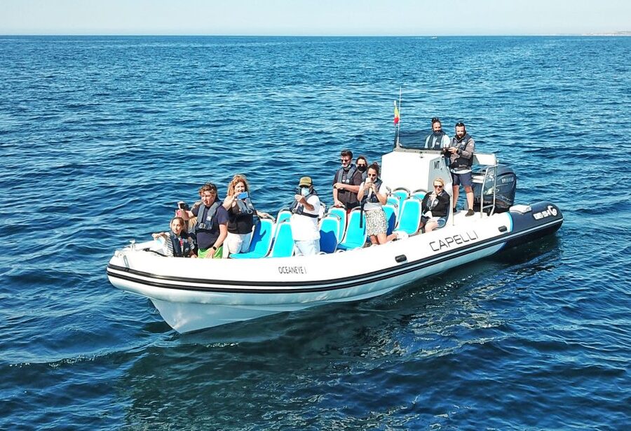 Albufeira: Benagil Cave and Dolphin Sightseeing Boat Cruise - Searching for dolphins in open water