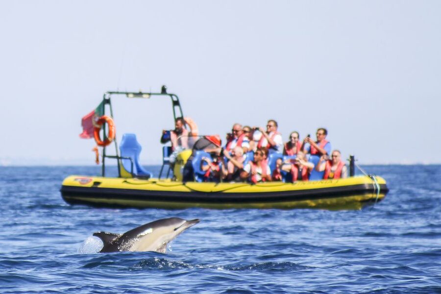 Albufeira: Benagil Caves & Dolphin Watching Speed Boat Tour - Benagil Cave, seen quickly and safely