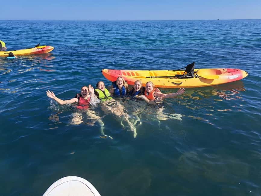 Albufeira: Caves and Cliffs Kayaking Tour - What the $36 price really covers