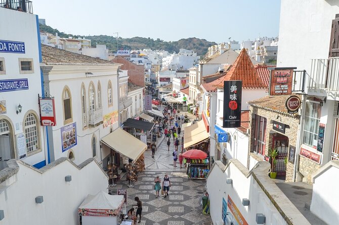 Albufeira: City Highlights & WINE TASTING - Pau da Bandeira Viewpoint and the beach panorama