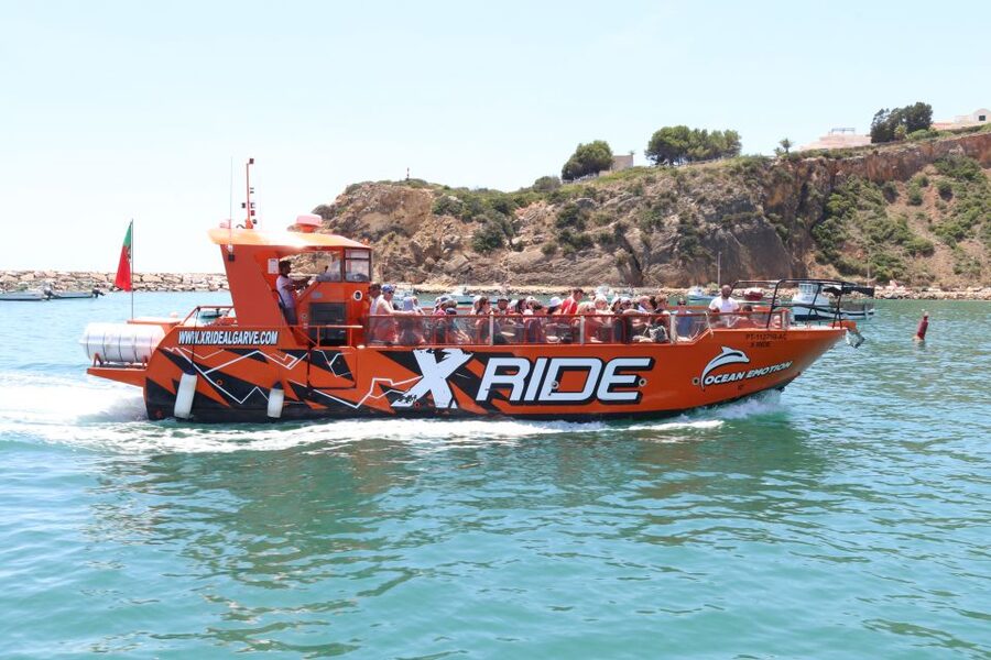 Albufeira: Dolphin Watching and Benagil Cave - The optional swim stop near the cliffs