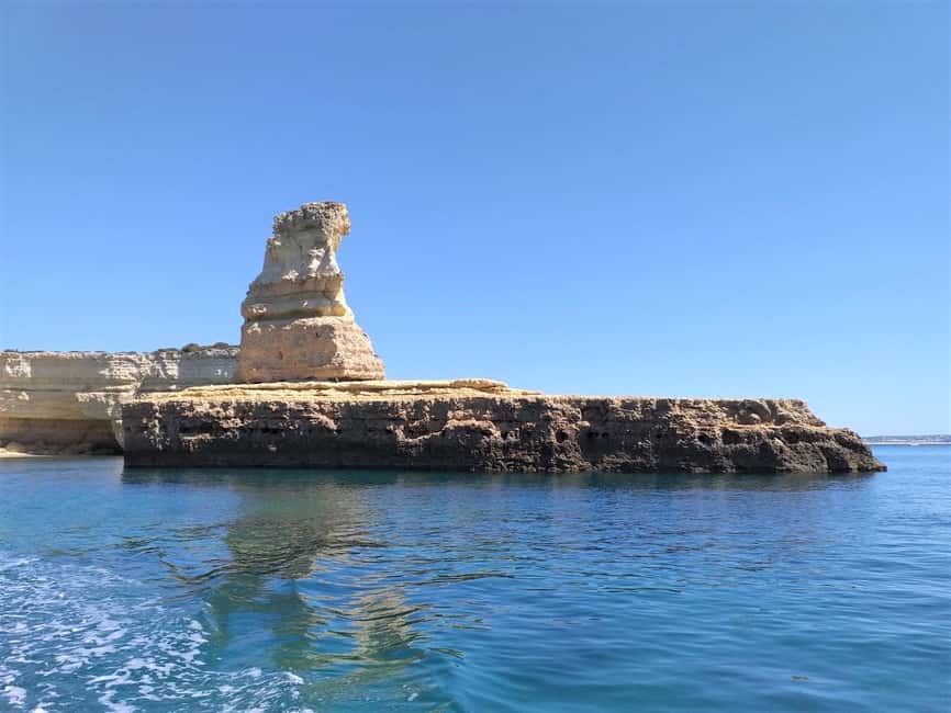 Albufeira: Dolphin Watching and Benagil Cave Boat Cruise - Who will enjoy this boat trip most?