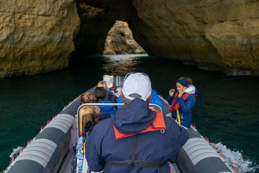 Albufeira: Dolphins, Benagil Caves and Coastline Boat Tour - Key points at a glance