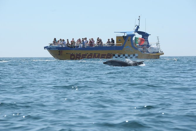 Albufeira Dreamer Boat Trip - Dolphin Watching Along the Algarve Coast