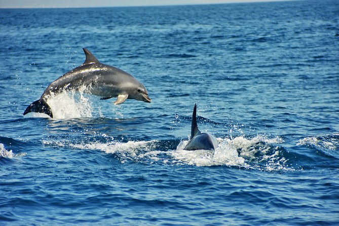 Albufeira Dreamer Boat Trip - How Comfortable Is the Ride?