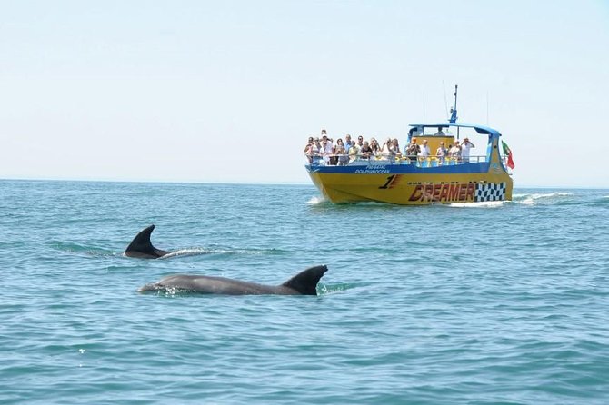 Albufeira Dreamer Boat Trip - Benagil Cave From the Sea