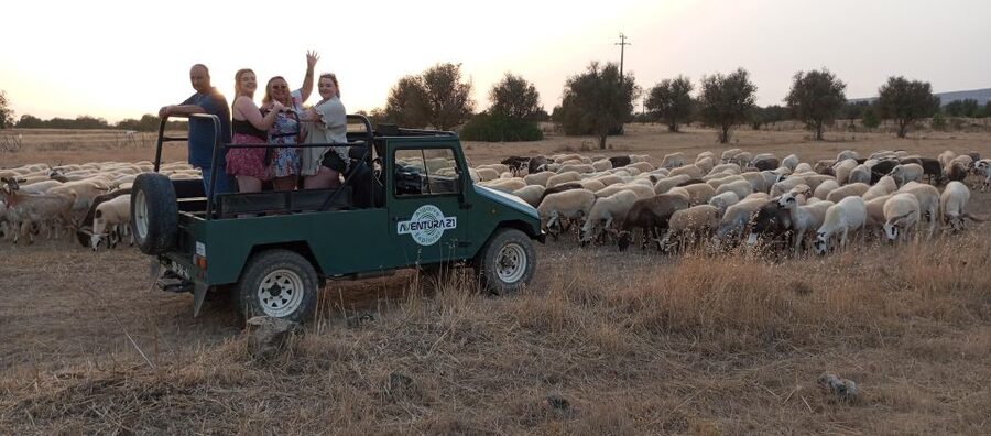 Albufeira: Jeep Safari Half-Day Countryside Tour - Key points to know before you book