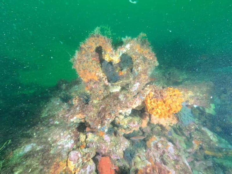 Albufeira: Scuba Diving Experience for Beginners - What can go wrong, and how to plan around it