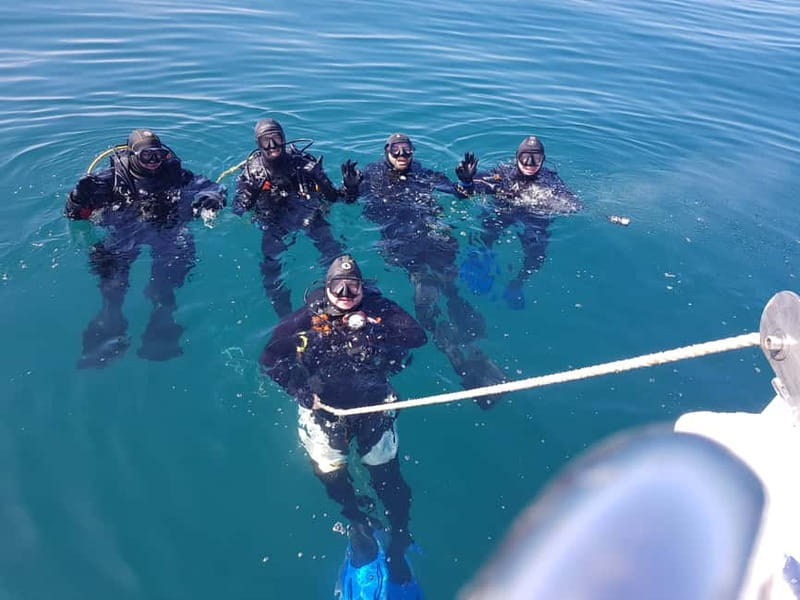 Albufeira: Scuba Diving Experience for Beginners - Starting at Easydivers in Albufeira Marina