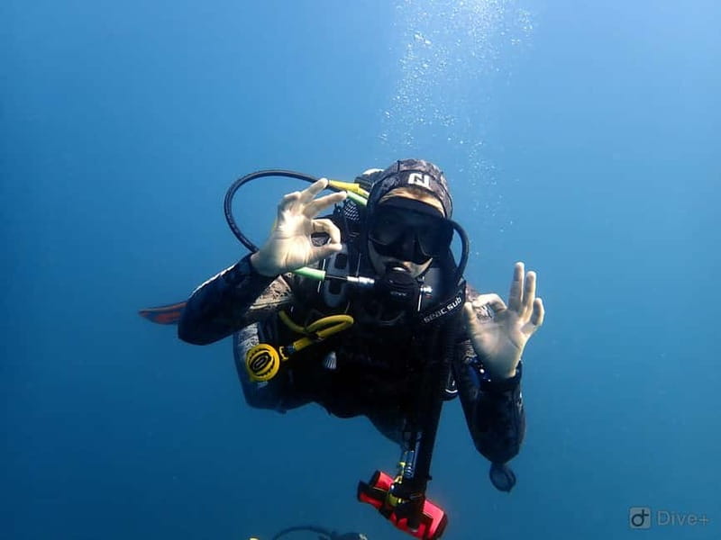 Albufeira: Scuba Diving Experience for Beginners - How the $125 price works out
