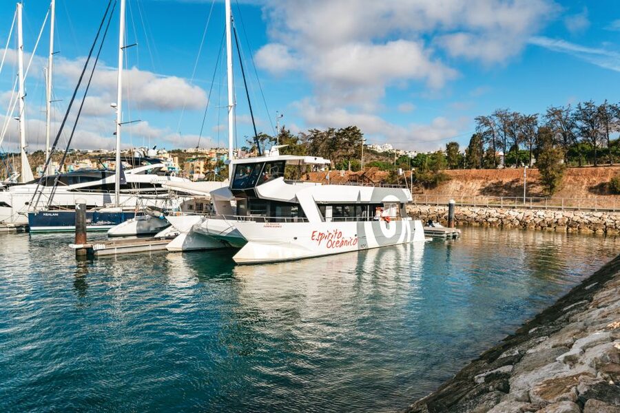 Albufeira: Sightseeing Cruise with Beach BBQ and Open Bar - The beach BBQ and open bar