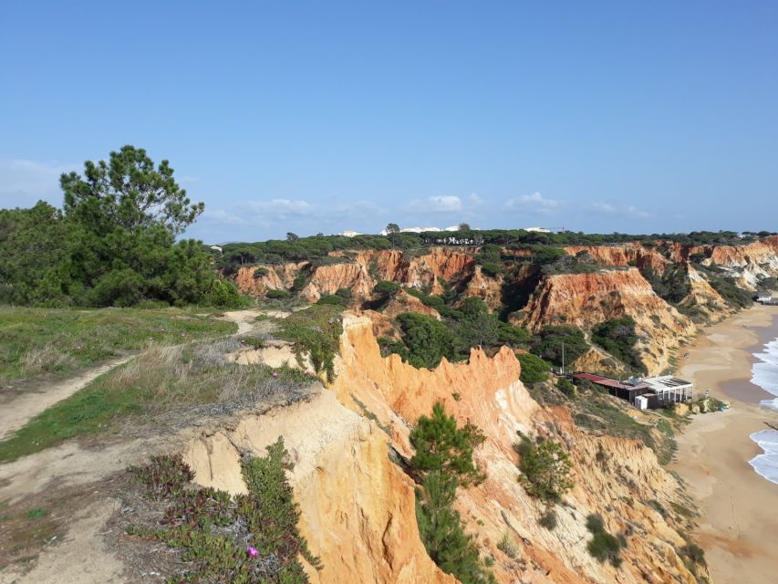 Albufeira: Tuk-tuk Sightseeing Tour - Olhos D’Água and the older fishing village feel