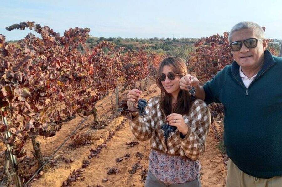 Albufeira/Vilamoura: Winery Tour with Wine Tasting and Tapas - Key points at a glance