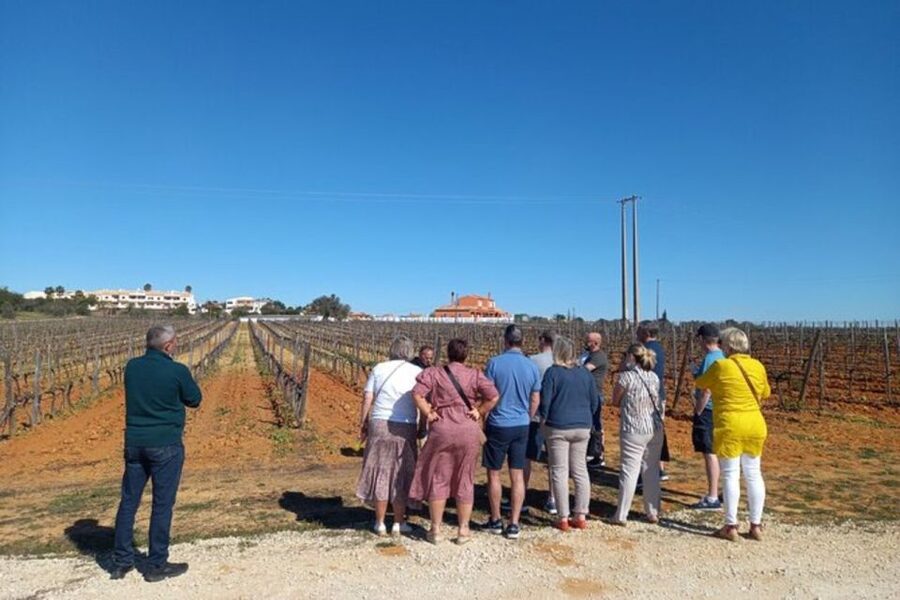 Albufeira/Vilamoura: Winery Tour with Wine Tasting and Tapas - Who will enjoy this winery trip most?