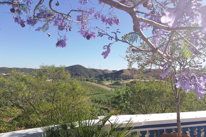 Albufeira Wine Tasting: Boutique Winery Tour & Historic Silves - Small group does not always mean private