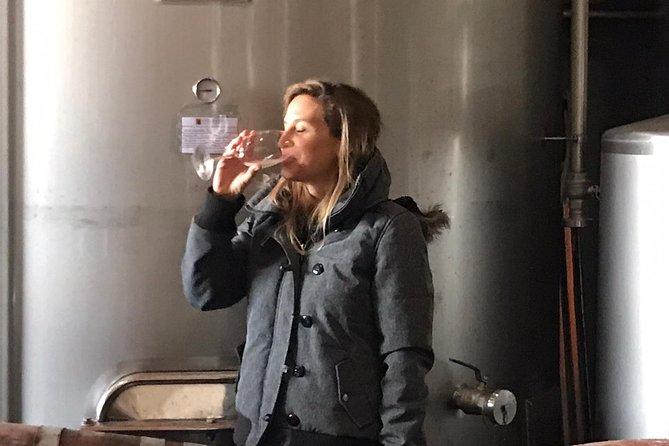 Albufeira Wine Tasting: Boutique Winery Tour & Historic Silves - Who will enjoy this Albufeira wine tour