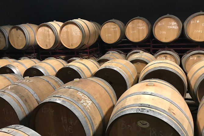 Albufeira Wine Tour: 2 Vineyards, 6 Tastings & Historic Silves - What makes Algarve wine different