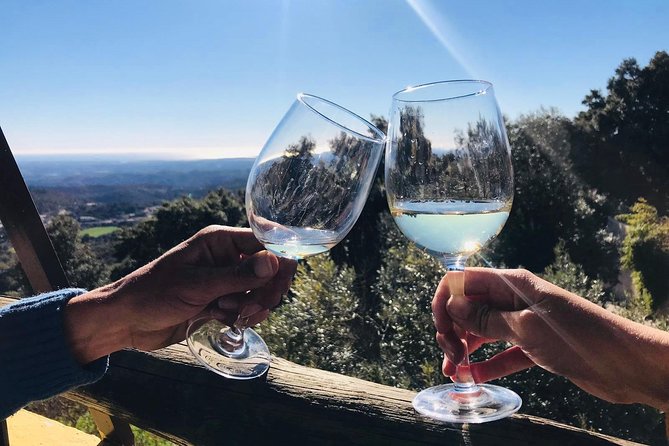 Albufeira Wine Tour: 2 Vineyards, 6 Tastings & Historic Silves - The guides turn a tasting into a regional tour