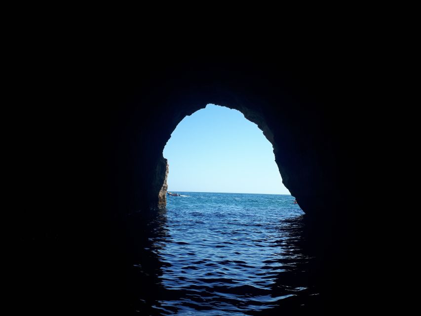Algarve: Boat Trip to the Caves of Benagil - Dolphins, sea conditions, and what can change