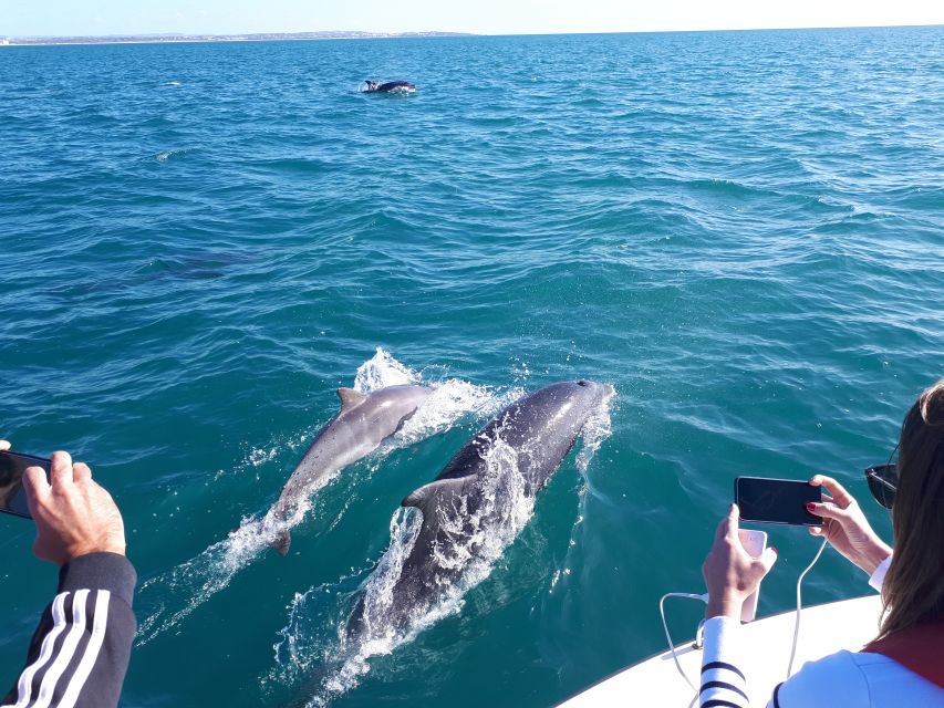 Algarve: Boat Trip to the Caves of Benagil - Ferragudo Castle and the Arade River
