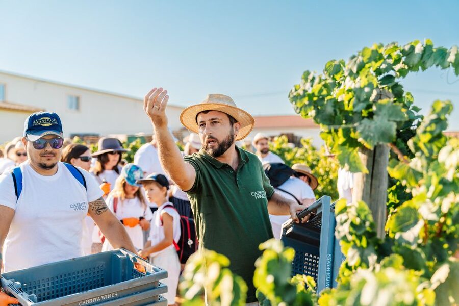 Algarve: Classic Wine Tour & Tasting in Silves - Three wines and a table of local food