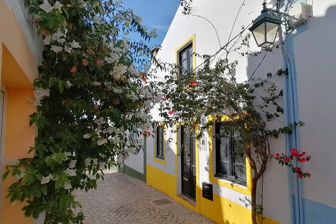 Algarve Coast Full-Day Private Tour - Who will get the most from this tour