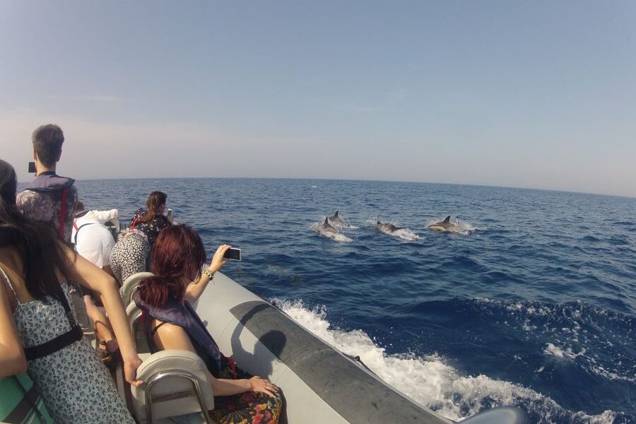 Algarve Dolphin Watching & Marine Life Eco Tour - Who will enjoy this most