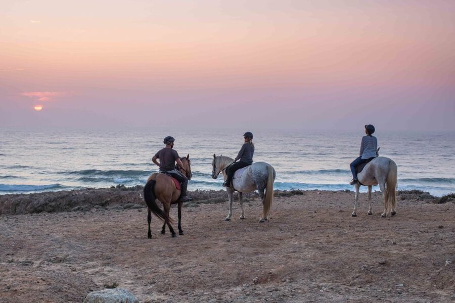Algarve: Horse Riding Beach Tour at Sunset or Morning - What the $165 price means