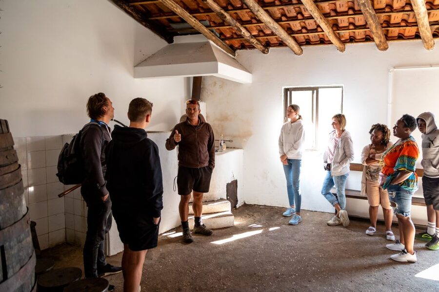 Algarve: Jeep Safari with Distillery Visit & Lunch - Should you book the Portitours jeep safari?