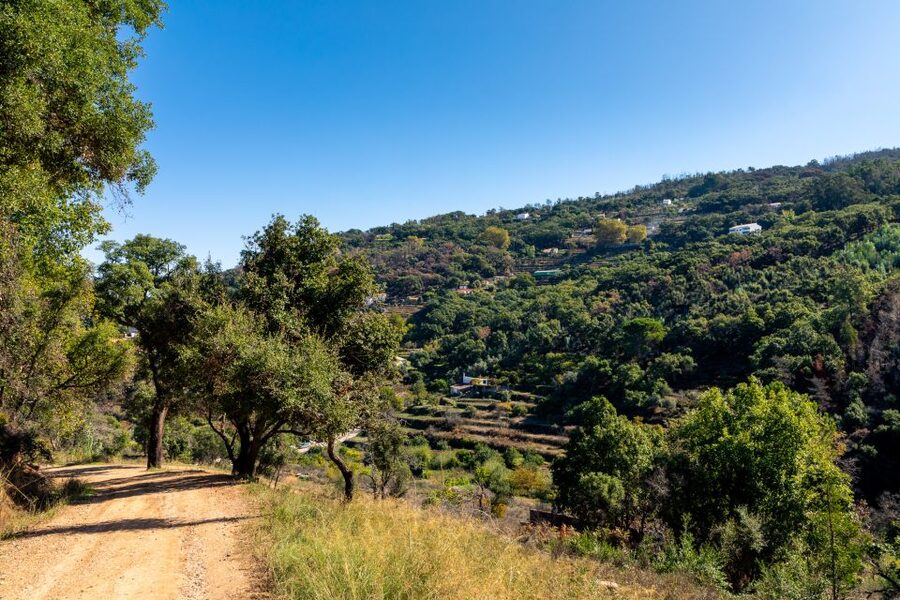 Algarve: Jeep Safari with Distillery Visit & Lunch - Medronho, honey, cork, and local production